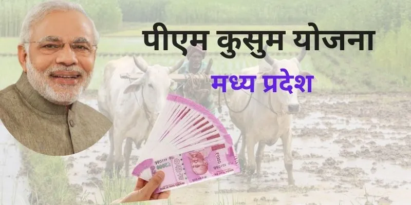 pm kusum yojana mp