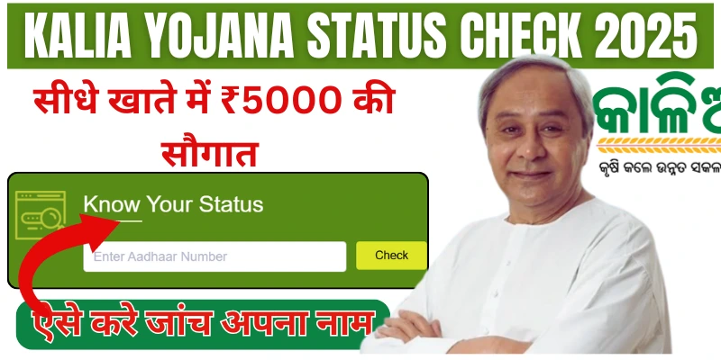 Kalia Yojana status check 2025