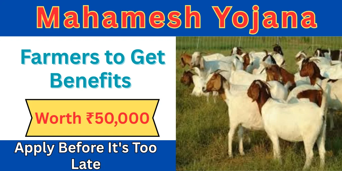 Mahamesh Yojana